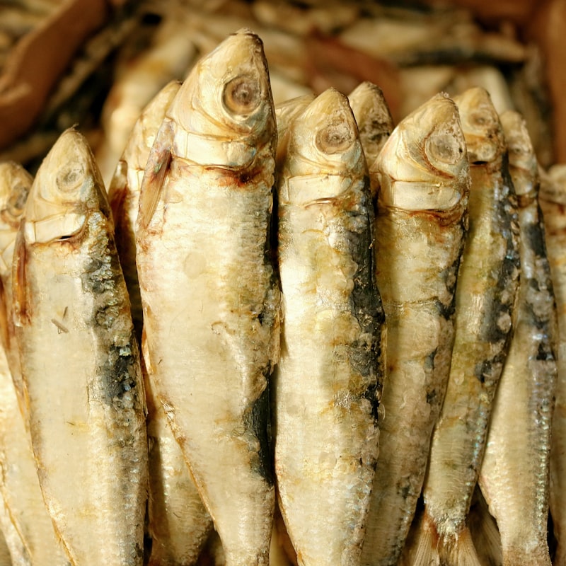 국물용 건조 디포리 500g